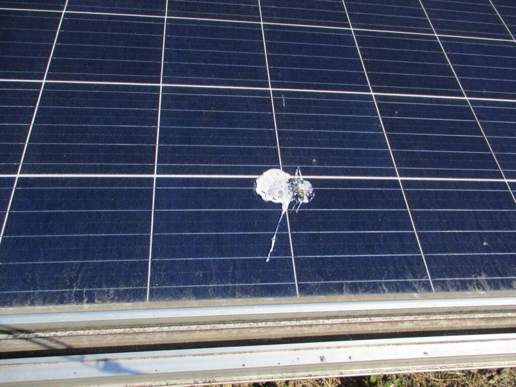 太陽光パネル点検　太陽光パネル　ソーラーパネル　ぐんまソーラーメンテ相談室　パネル表面汚れ　鳥糞